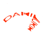 Danil Lukin