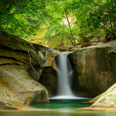 Дмитрий Жигалов