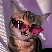 Кира Коткова