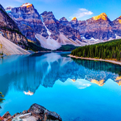 Максим Попов