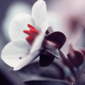 Татьяна Рябец