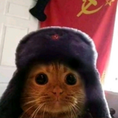 Даниил Соколов