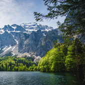 Дарья Карева