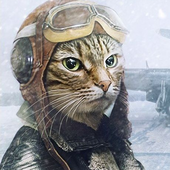 Светлана Багдерина