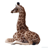 Давыд Кузьмин [boutique_439483]