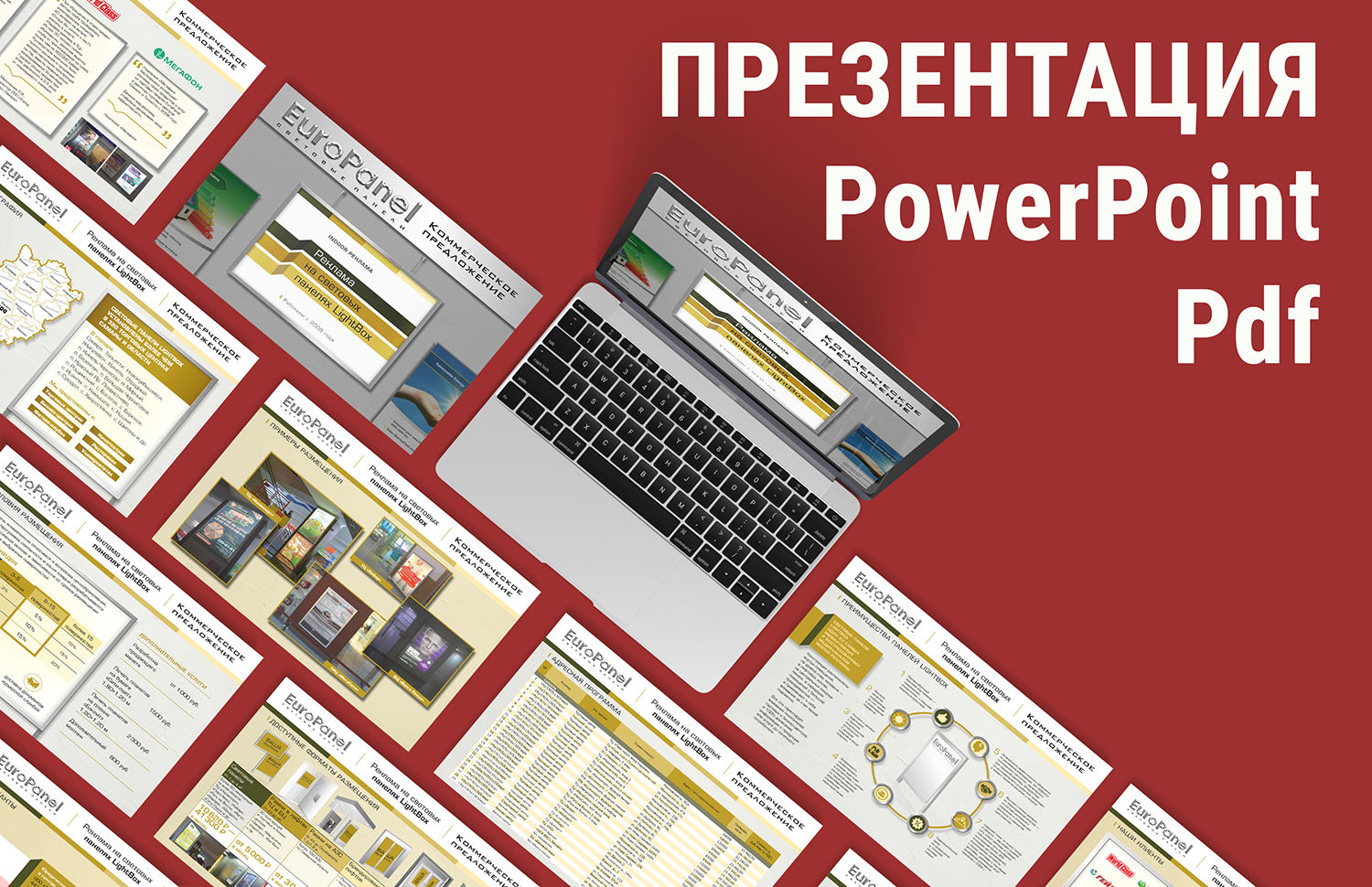 Презентация Pdf, PowerPoint, инфографика за 1 000 руб.