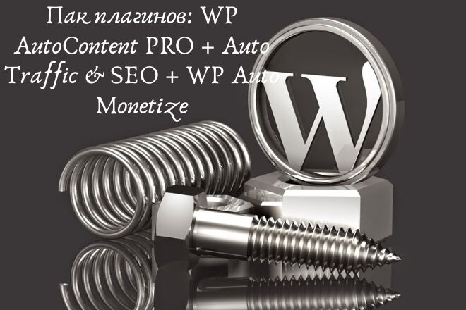 Установка Пак плагинов: WP AutoContent PRO + Auto Traffic & SEO + WP Auto Monetize. Бонус! за 250 руб.