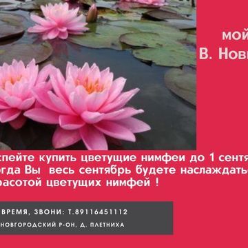 Заявка на участие в проекте  «Сделать правки в рекламе яндекс»
