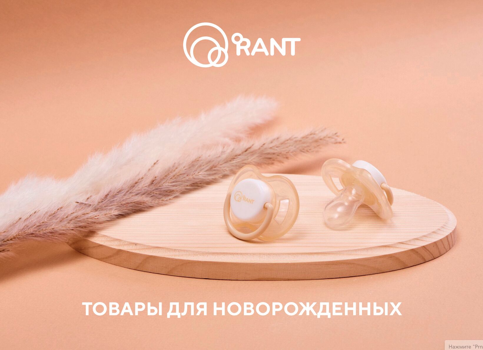 Презентация в pdf за 15 000 руб.